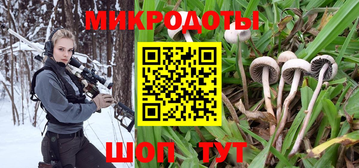 Сосновый Бор  Псилоцибиновые грибы MAGIC MUSHROOMS  Вход с VPN  Галлюциногенные грибы Psilocybine cubensis 