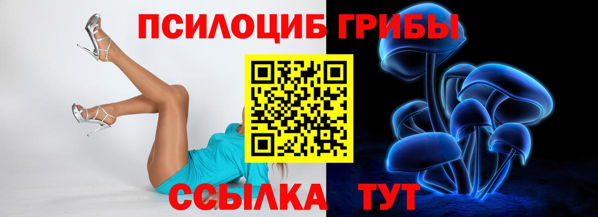 Псилоцибиновые грибы Psilocybine cubensis Сосновый Бор